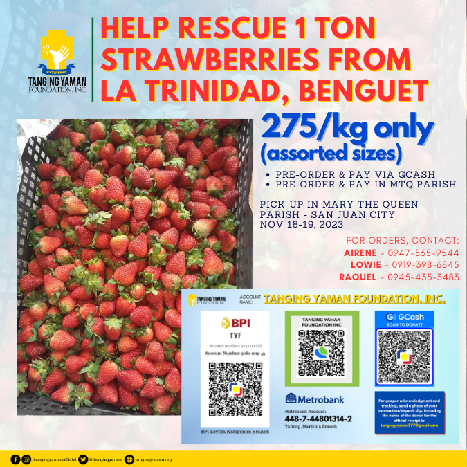 for_website_Rescue_1_Ton_Strawberries.png